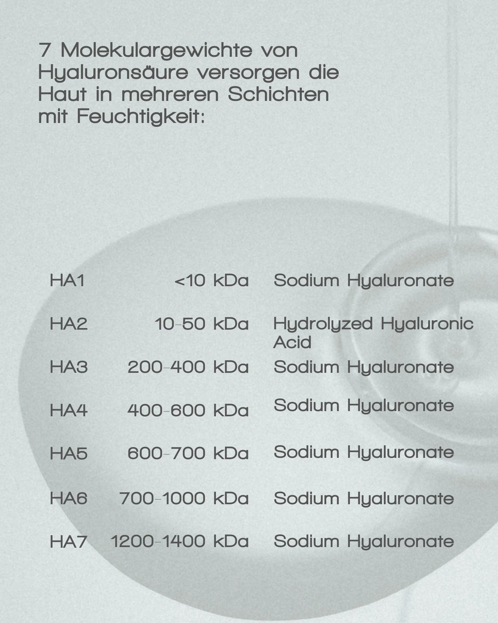 Eine Tabelle für das MORE MOISTURE FACE SERUM von MERME Berlin zeigt 7 Typen (HA1–HA7) von Hyaluronsäure im Bereich von unter 10 kDa bis 1200–1400 kDa, darunter Natriumhyaluronat, hydrolysierte Säure und Bifida-Fermentlysat auf grauem Hintergrund.