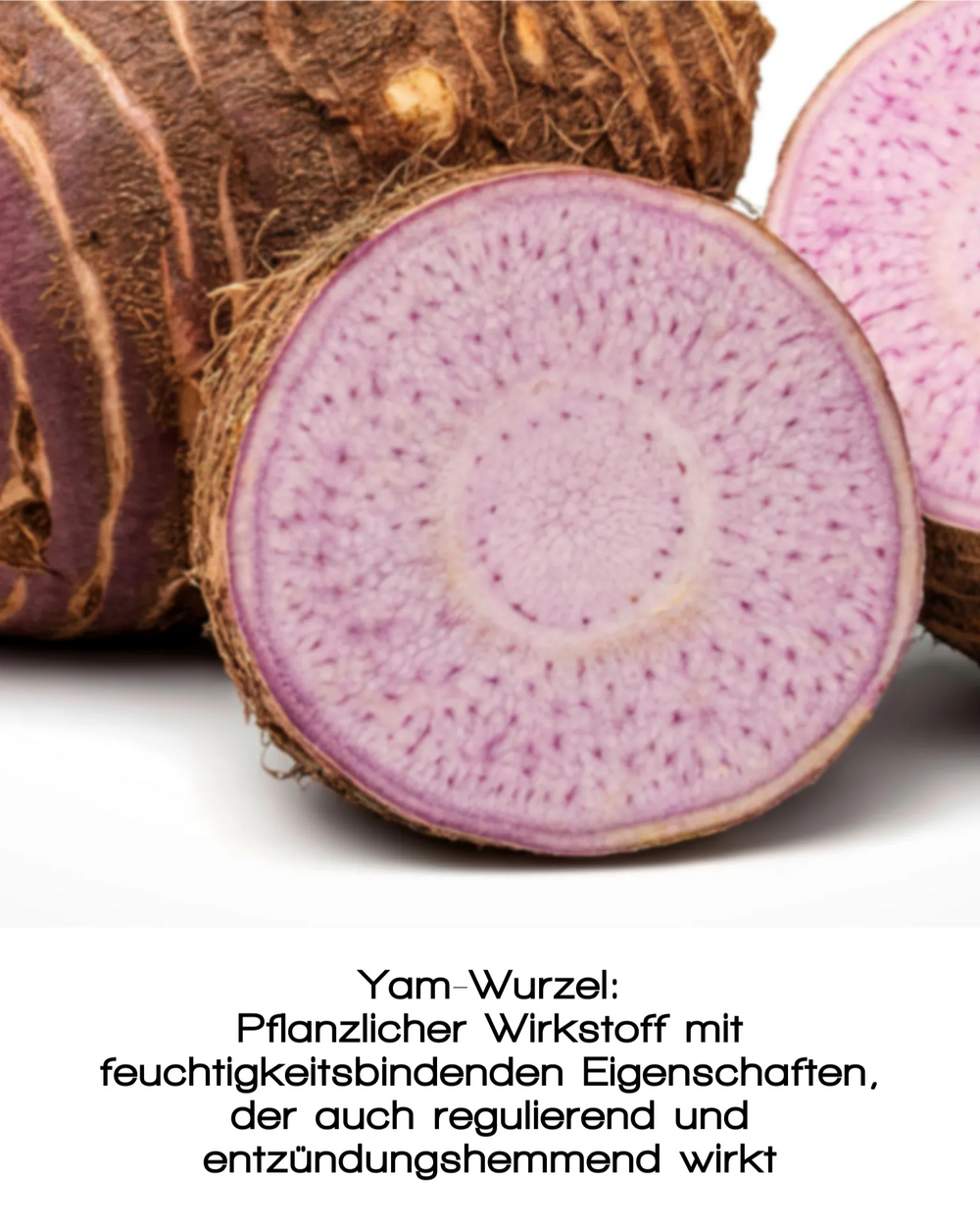 Nahaufnahme von zwei aufgeschnittenen lila Süßkartoffeln mit rauer Schale und lebendigem Inneren. Das FRESH DEW FACE MIST von MERME Berlin nutzt diese Pflanzenwurzel, um die Haut aufzuhellen und mit Feuchtigkeit zu versorgen - perfekt für ein erfrischendes, feuchtigkeitsspendendes Gesichtsspray.