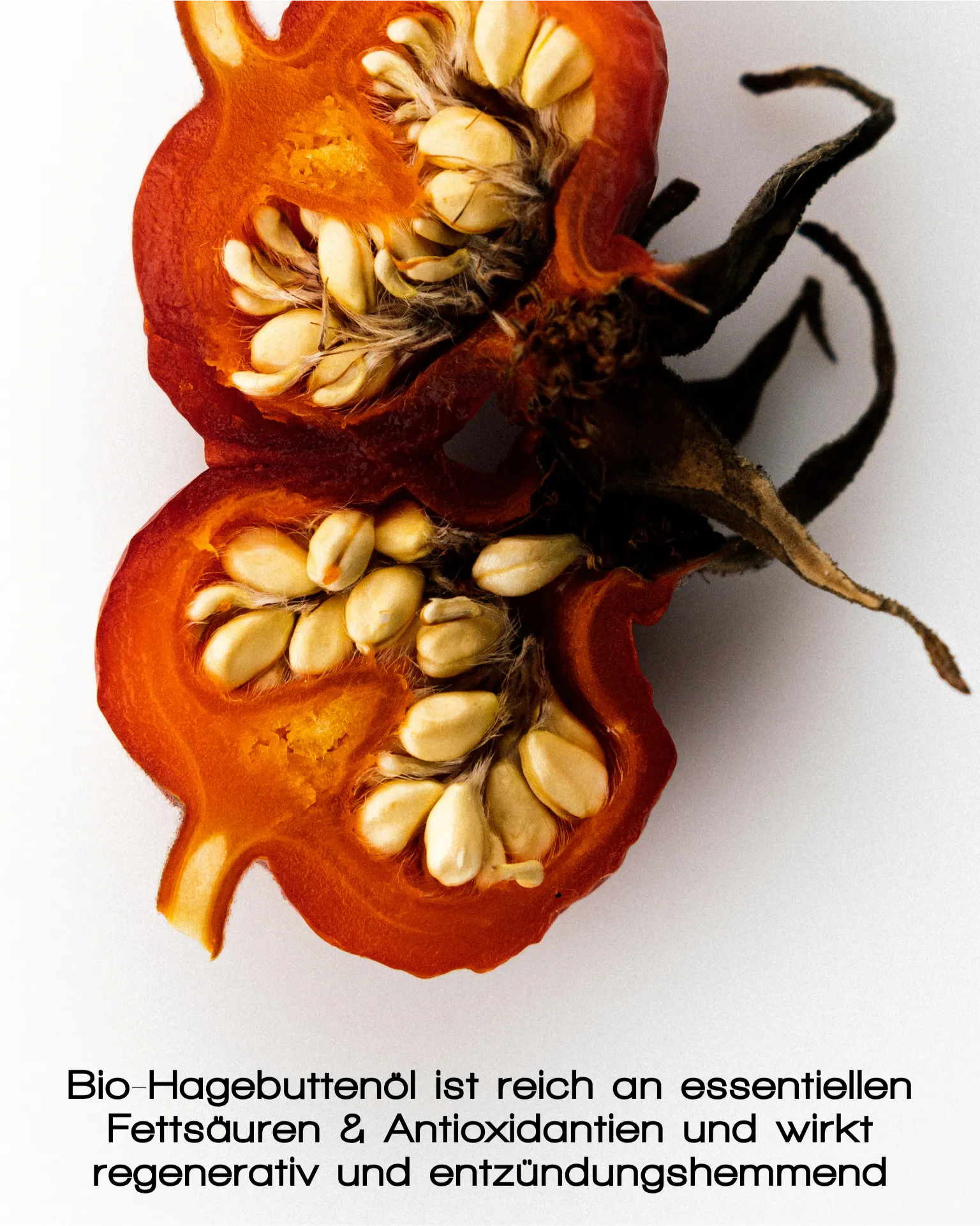 Nahaufnahme einer halbierten Hagebuttenfrucht mit Kernen, darunter eine deutsche Bildunterschrift, die das GLOWING GUARD FACE OIL von MERME Berlin als Gesichtsöl hervorhebt, das reich an essentiellen Fettsäuren und Antioxidantien zur Hautregeneration und natürlichen Ausstrahlung ist.