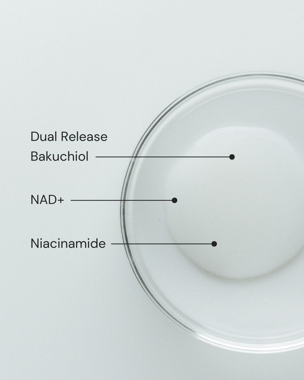 Eine klare Glasschale mit weißer Flüssigkeit ist von oben zu sehen. Drei beschriftete Punkte weisen auf die Flüssigkeit hin: "Pore & Line Refine Serum", "NAD+" und "Niacinamid" von MERME Berlin, die auf Inhaltsstoffe hinweisen, die zur Verfeinerung des Hautbildes beitragen.